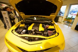 6F4B2509